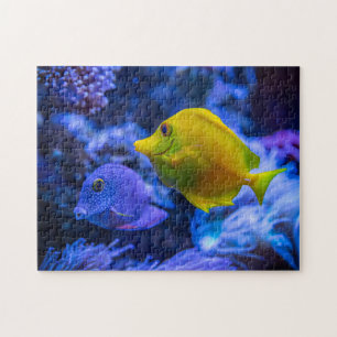 Rompecabezas acuáticos Fotos Náuticas Rompecabezas