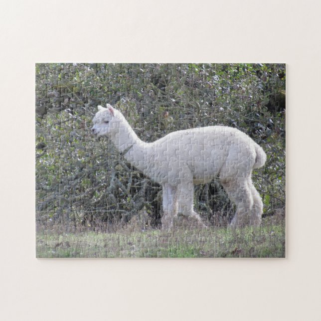 Rompecabezas - Alpaca Blanca (Horizontal)
