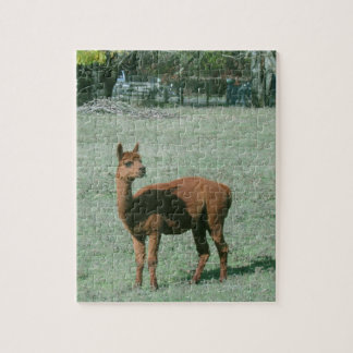 Rompecabezas - alpaca de Brown en campo