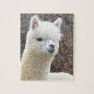 Rompecabezas Analise de la alpaca