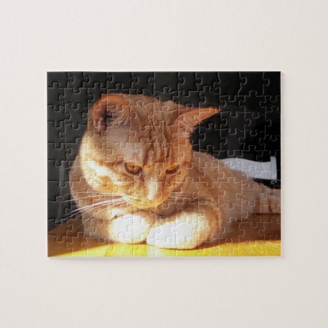 Rompecabezas anaranjado del gatito (Horizontal)