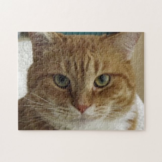 Rompecabezas anaranjado del gato de Tabby (Horizontal)