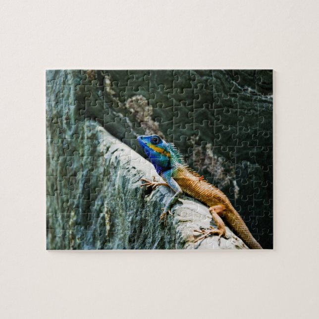 rompecabezas animales (Horizontal)