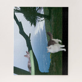 Rompecabezas - Apagón en una boquilla