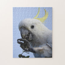Rompecabezas Azufre-Con cresta del Cockatoo