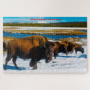 Rompecabezas Bisonte Yellowstone Wyoming