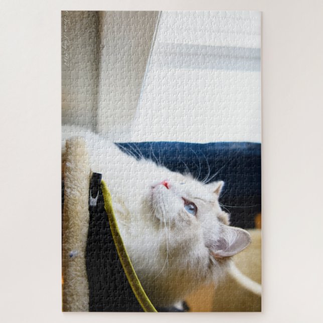 Rompecabezas blanco del gato de Ragdoll (Vertical)