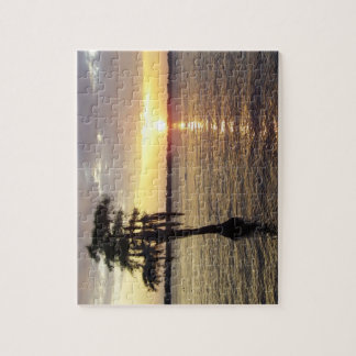 Rompecabezas blanco del NC del lago