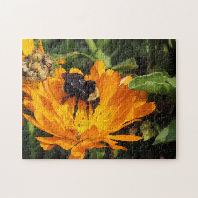 Rompecabezas - Bumble Bee en Calendula (Horizontal)