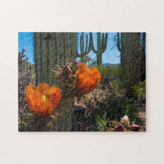 Rompecabezas - cactus - flores - Arizona