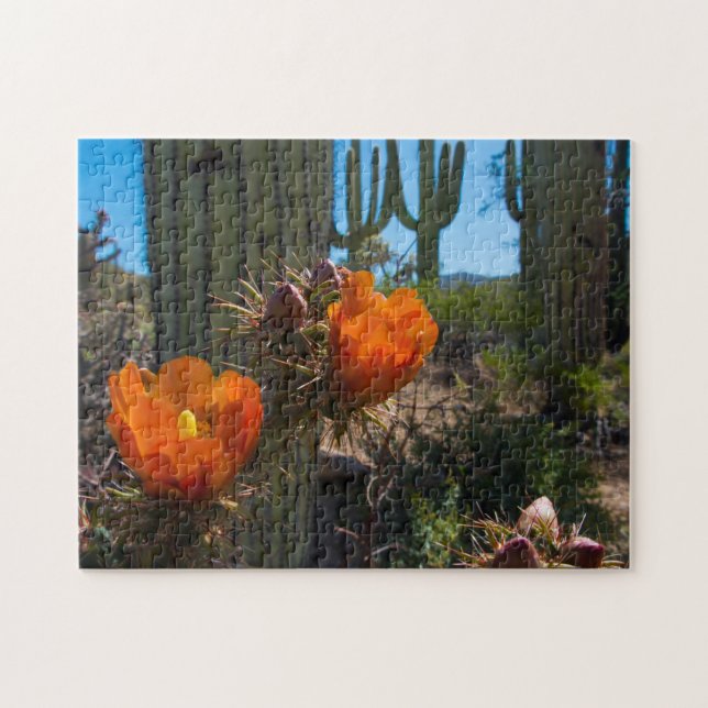 Rompecabezas - cactus - flores - Arizona (Horizontal)