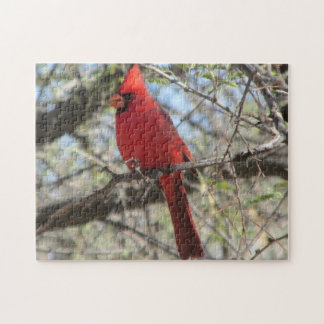 Rompecabezas cardinal