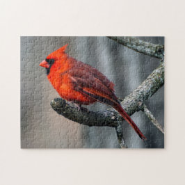 Rompecabezas cardinal
