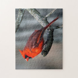 Rompecabezas cardinal