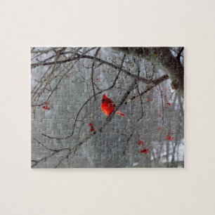 Rompecabezas cardinal