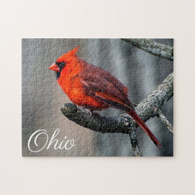Rompecabezas cardinal de Ohio (Horizontal)