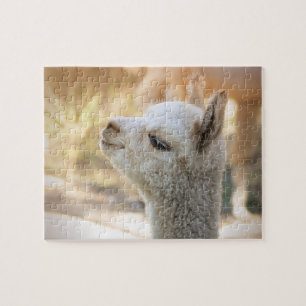 Rompecabezas Celeste de la alpaca