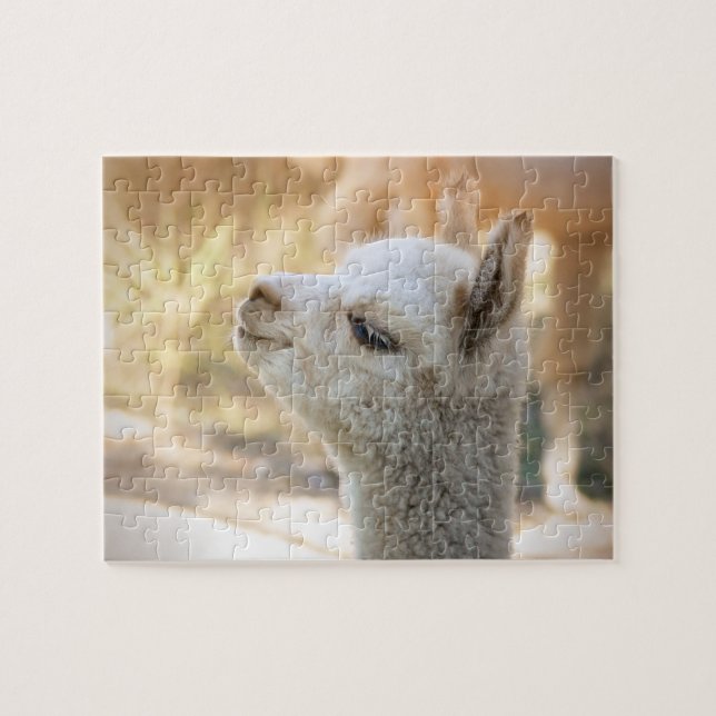 Rompecabezas Celeste de la alpaca (Horizontal)