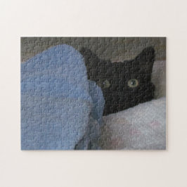 Rompecabezas - Closet Hideout