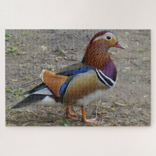 Rompecabezas colorido