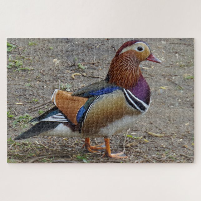 Rompecabezas colorido (Horizontal)