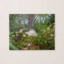 Rompecabezas compacto de la rana y del registro