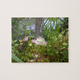 Rompecabezas compacto de la rana y del registro