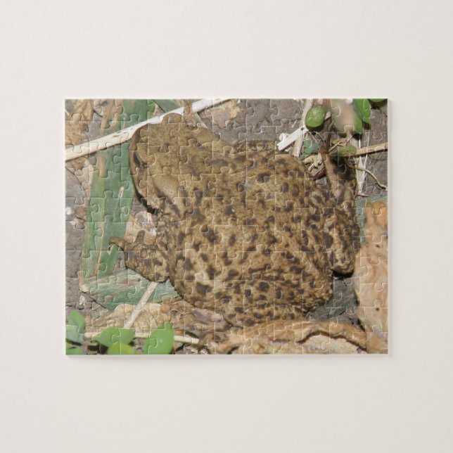 Rompecabezas común de la toga europea (Horizontal)