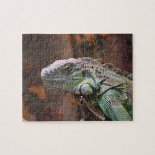 Rompecabezas con colorido lagarto de Iguana