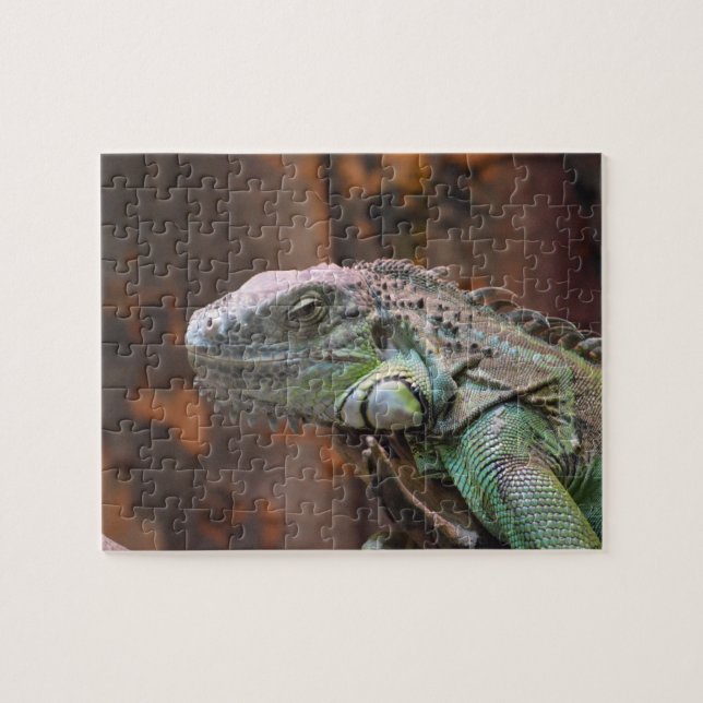 Rompecabezas con colorido lagarto de Iguana (Horizontal)