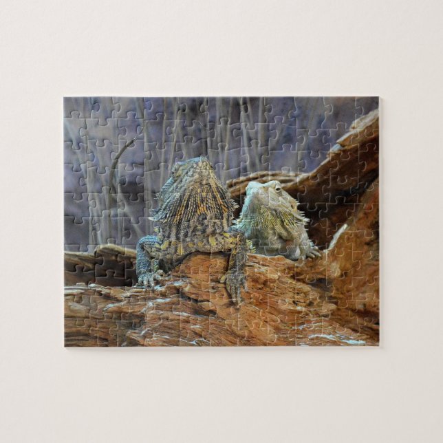 Rompecabezas con dos lagartos curiosos (Horizontal)