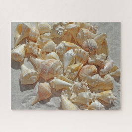 Rompecabezas - conchas en la playa
