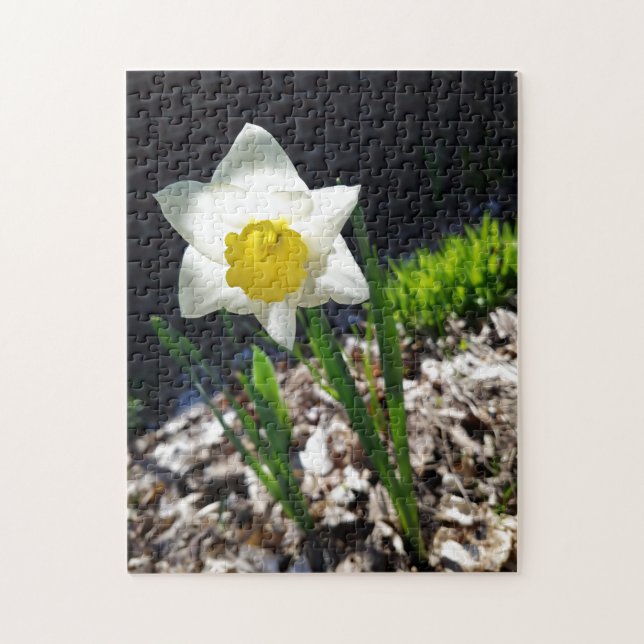 Rompecabezas creativo de jardín de narcisos blanco (Vertical)
