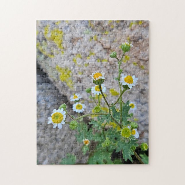Rompecabezas Daisy Dots of Delight, 11" x 14", 252 (Vertical)