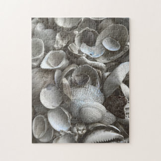 Rompecabezas de 11x14 conchas para personas de col
