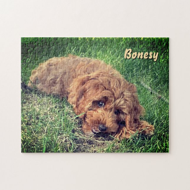 Rompecabezas de 11x14 de adorable Golden Doodle (Horizontal)