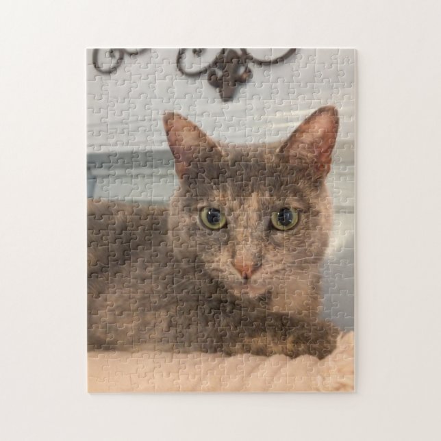 Rompecabezas de 252 piezas (Vertical)