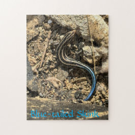 Rompecabezas de 252 piezas