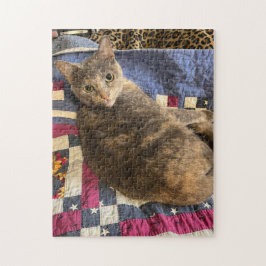 Rompecabezas de 252 piezas