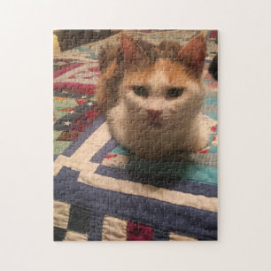 Rompecabezas de 252 piezas