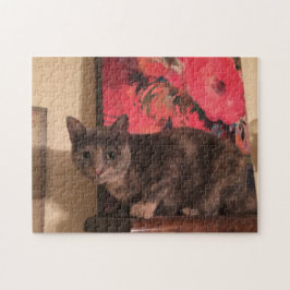 Rompecabezas de 252 piezas