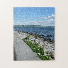 Rompecabezas de 252 piezas