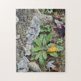 Rompecabezas de 252 piezas