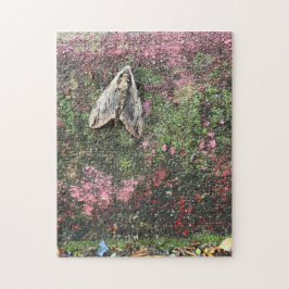 Rompecabezas de 252 piezas