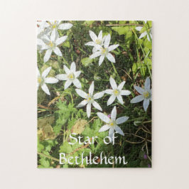 Rompecabezas de 252 piezas