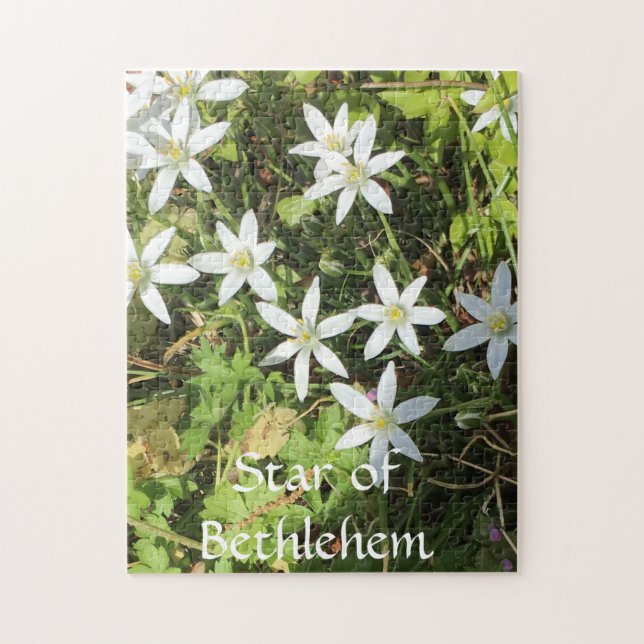 Rompecabezas de 252 piezas (Vertical)