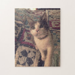 Rompecabezas de 252 piezas