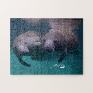 Rompecabezas de 2 amigos del Manatee