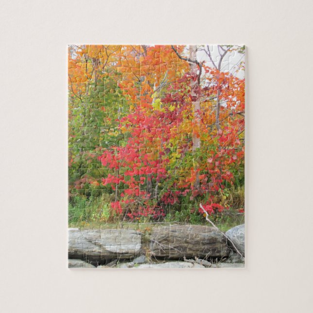 Rompecabezas de 8" x 10" 110 piezas hojas de otoño (Vertical)