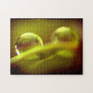 Rompecabezas de agua